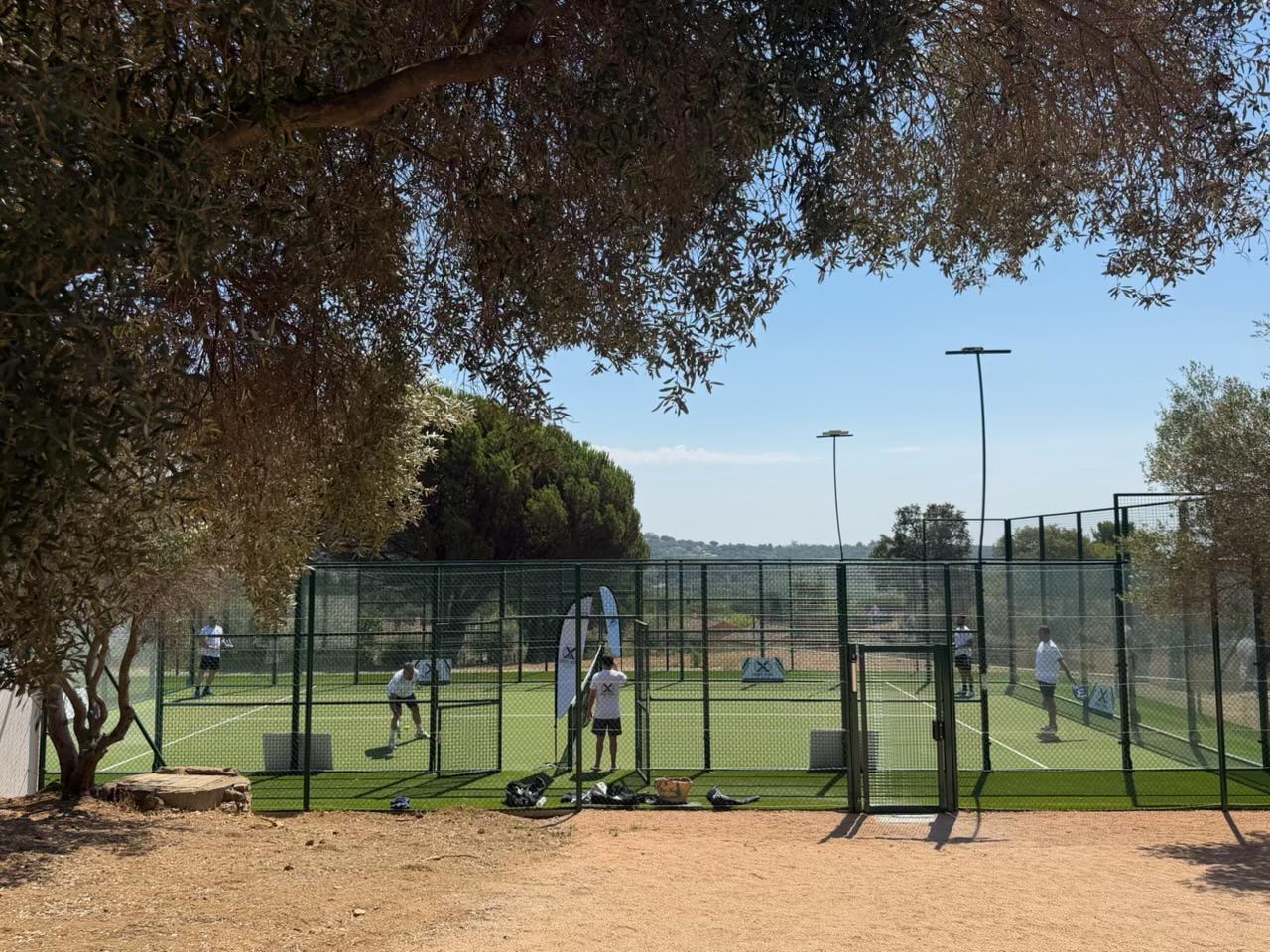 Les courts de padel vus depuis l'oliveraie du complexe Versants